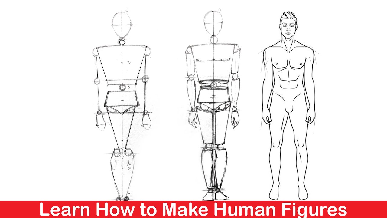 Human Figure Drawing Step By Step (Part -1) (Hindi/Urdu) - Youtube