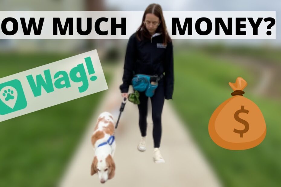 How Much I Make As A Dog Walker Using Wag And More! - Youtube