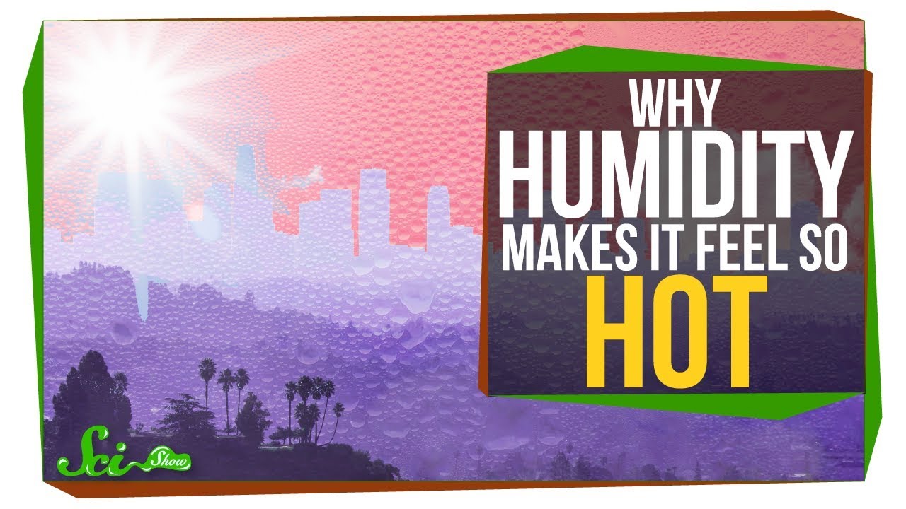 Why Does Humidity Make It Feel Hotter? - Youtube