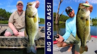 3 Steps To Grow Big Bass In Ponds - Youtube