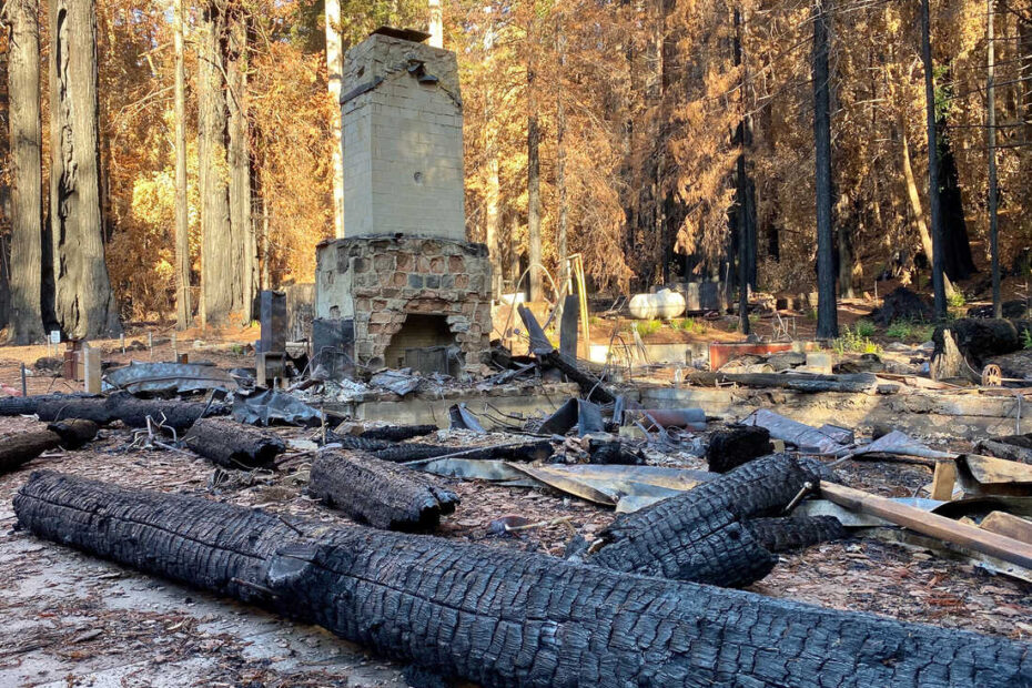 California'S Ancient Redwoods Face New Challenge From Wildfires And Warming  Climate : Npr