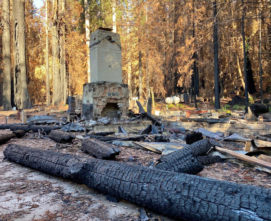 California'S Ancient Redwoods Face New Challenge From Wildfires And Warming  Climate : Npr