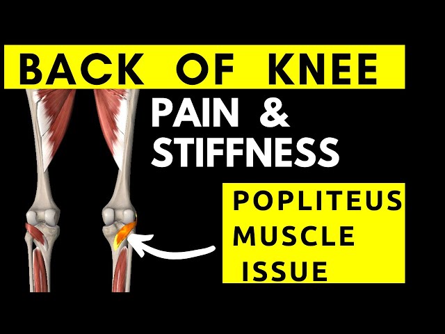 Back Of Knee Pain/Stiffness? Popliteus Muscle Tightness - Youtube