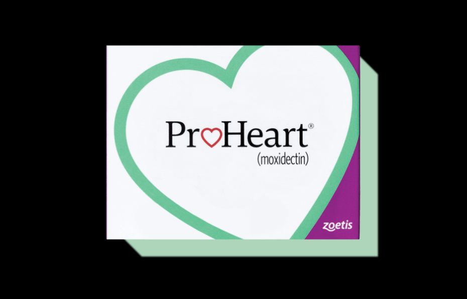 Proheart 12 | Zoetis Petcare