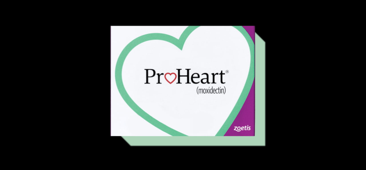 Proheart 12 | Zoetis Petcare