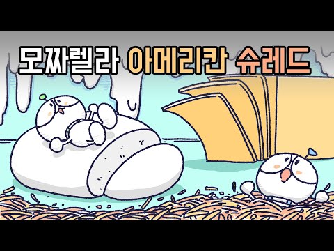 [3분차이] 아메리칸, 모짜렐라, 슈레드 치즈 차이는? | 가공치즈 | 치즈 종류