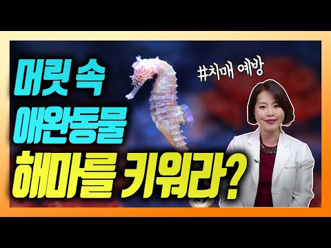 치매에 걸리고 싶지 않다면 내 머릿속 반려동물 해마를 키워라 - 이은아의 치매를부탁해 #18