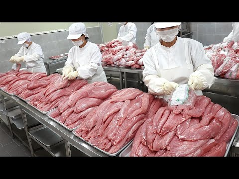 연매출 170억! 전국 3대 바삭 돈까스? 유명 돈까스집들이 보고 배운다는 대박 돈까스집┃Premium pork cutlet / Korean street food