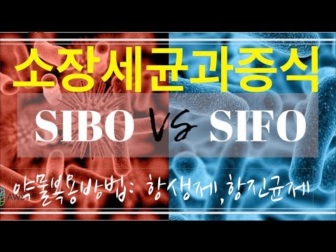 질환 리뷰 #11: SIBO(소장세균과증식증) 치료를 위한 약물사용법 - 기능의학,영양의학