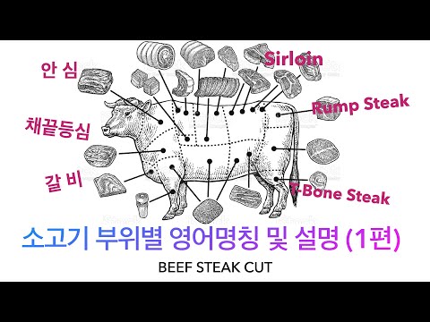 소고기 부위별 영어명칭 및 설명 1편(호주정육사, BEEF STEAK CUT 영어이름 완벽정리ㅣ꽃등심 채끝등심 목심 안심 T-bone Y-bone Rump 갈비)