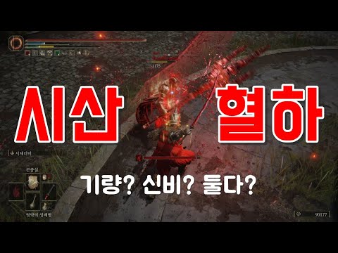 엘든링 시산혈하 스탯 분배 어떻게 해야 효율이 좋을까(1.05 패치 기준)