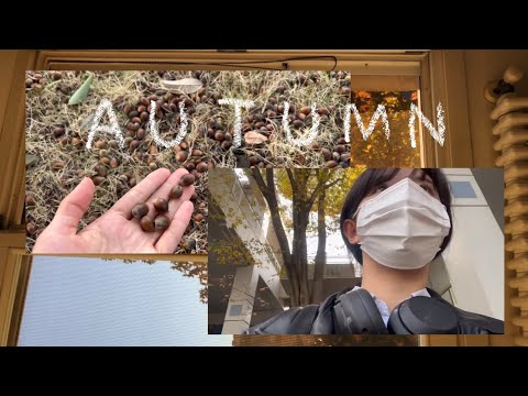 JPN) vlog. 일본 미대 유학생 일상. 여자미술대학. Japanese art university