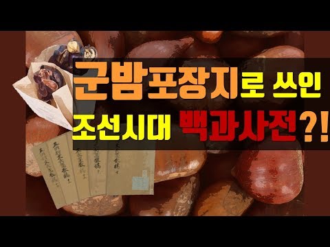 군밤싸개로 쓰였던 조선시대 최대 백과사전 #오주 #이규경 #오주연문장전산고 #히에브리띵