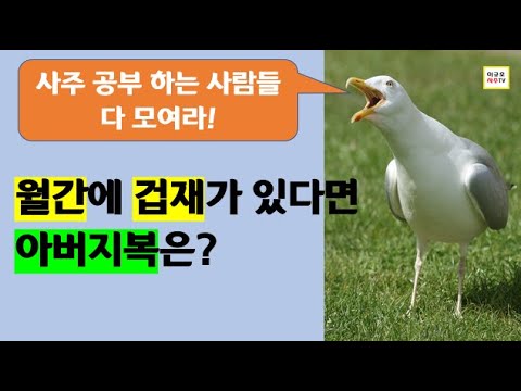 월간(아버지궁)에 겁재가 있는 사주