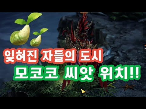 잊혀진 자들의 도시 모코코, 섬의 마음